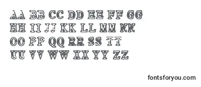 NEO PROTEIN Font
