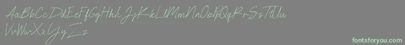 Więcej informacji o czcionce NEONCITY SCRIPT Demo Czcionka NEONCITY SCRIPT Demo – zielone czcionki na szarym tle