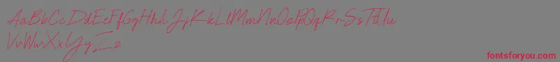 Weitere Informationen zur NEONCITY SCRIPT Demo-Schriftart NEONCITY SCRIPT Demo-Schriftart – Rote Schriften auf grauem Hintergrund