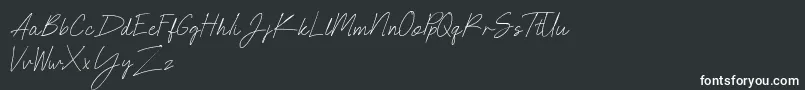 NEONCITY SCRIPT Demo Font – White Fonts on Black Background