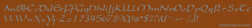 SamovarsskItalic Font – Gray Fonts on Brown Background