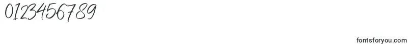 フォントNermolaScript Regular – 数字と数値のためのフォント