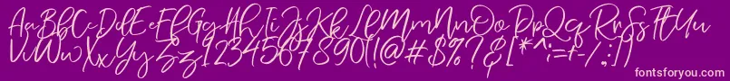 NermolaScript Regular Font – Pink Fonts on Purple Background