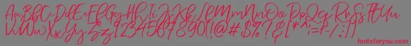 Шрифт NermolaScript Regular – красные шрифты на сером фоне