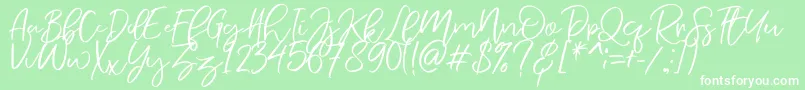 Police NermolaScript Regular – polices blanches sur fond vert