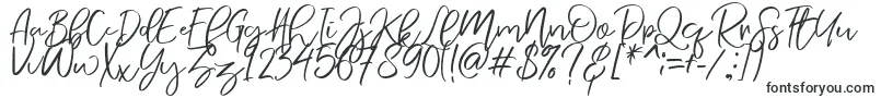 NermolaScript Regular Font – Fonts for Signatures