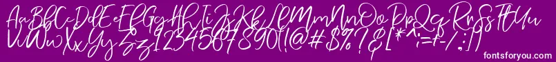 NermolaScript Regular Font – White Fonts on Purple Background