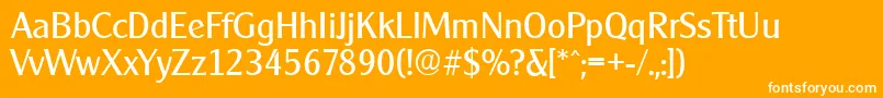 CleargothicserialRegular Font – White Fonts on Orange Background