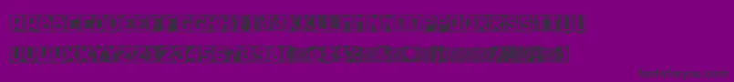 Neturality Font – Black Fonts on Purple Background