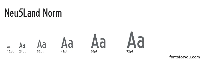 Neu5Land Norm Font Sizes