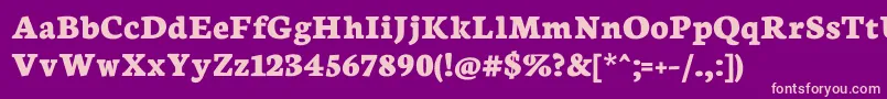 Neuton Extrabold-Schriftart – Rosa Schriften auf violettem Hintergrund