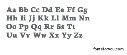 Review of the Neuton Extrabold Font