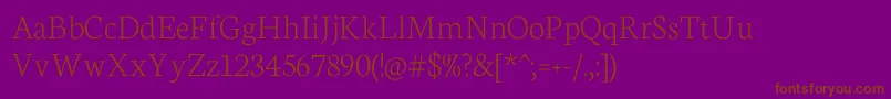 Neuton Extralight Font – Brown Fonts on Purple Background