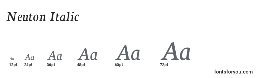 Размеры шрифта Neuton Italic