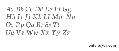 Neuton Italic -fontin tarkastelu