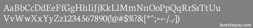 Neuton Light Font – White Fonts on Gray Background