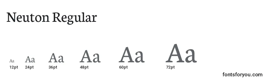 Neuton Regular Font Sizes