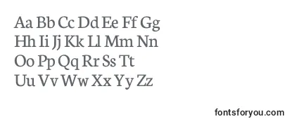 Neuton Regular Font
