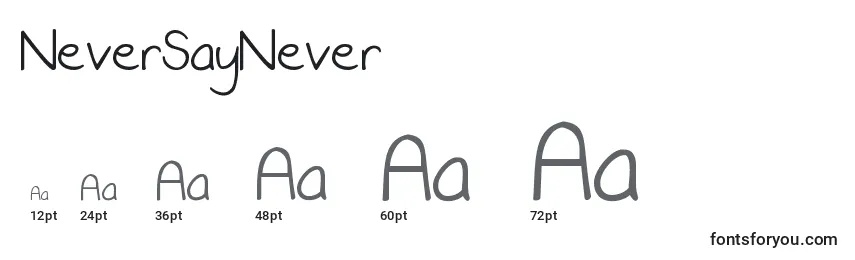 Размеры шрифта NeverSayNever (135509)