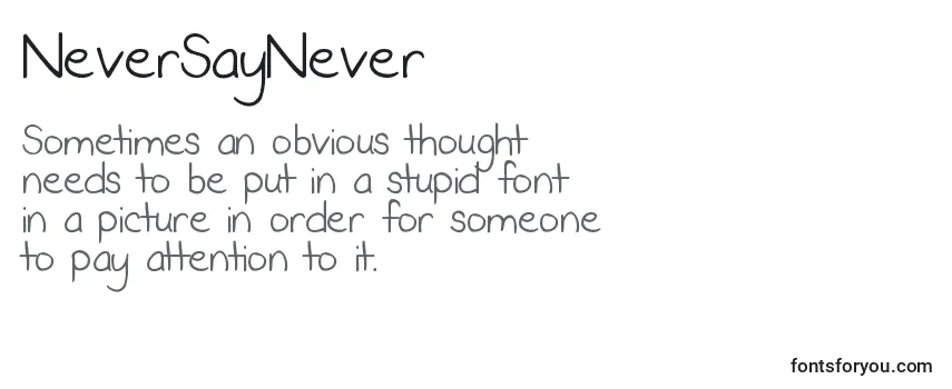 NeverSayNever (135509) フォントのレビュー