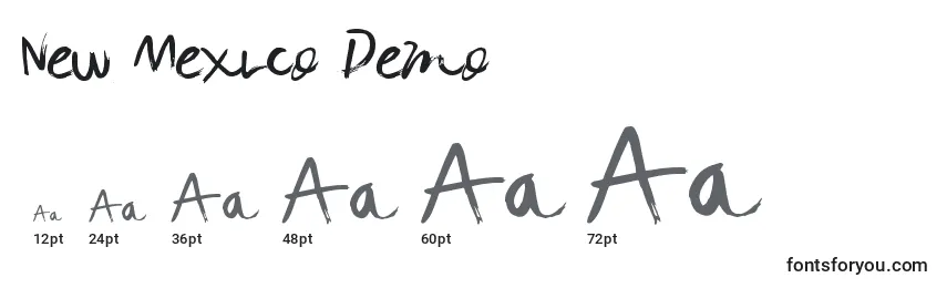 New Mexico Demo Font Sizes