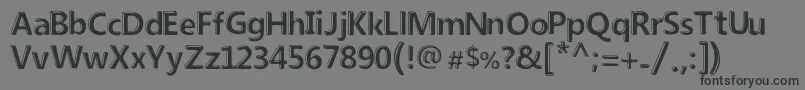 New Society Font – Black Fonts on Gray Background