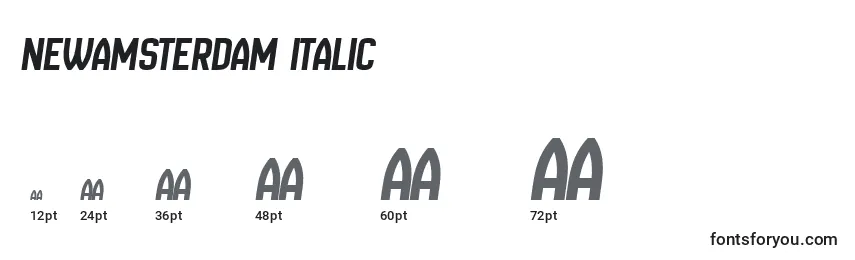 NewAmsterdam Italic Font Sizes