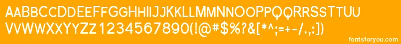Florsn26 Font – White Fonts on Orange Background