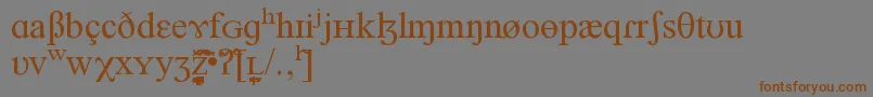 NEWNEDR Font – Brown Fonts on Gray Background