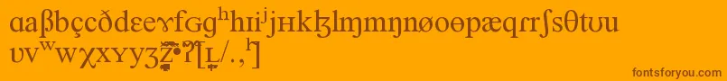 NEWNEDR Font – Brown Fonts on Orange Background