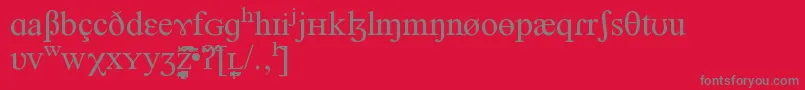 NEWNEDR Font – Gray Fonts on Red Background