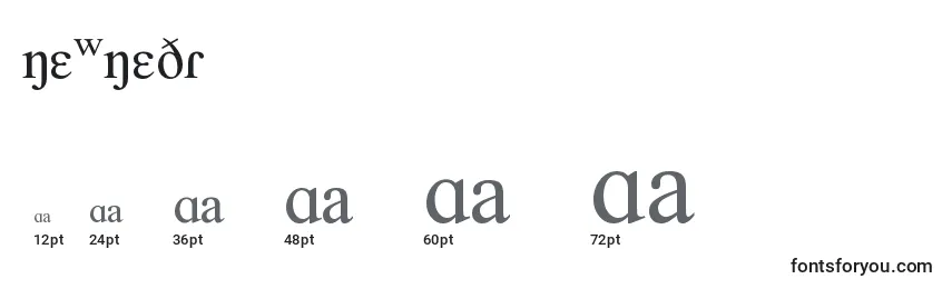 NEWNEDR Font Sizes