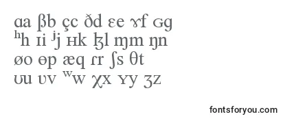 NEWNEDR Font