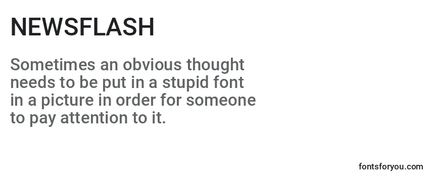 NEWSFLASH (135539) フォントのレビュー