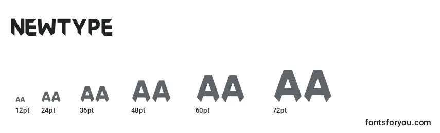 Размеры шрифта Newtype