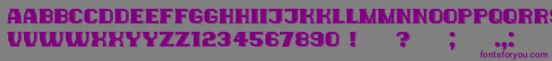 NewYorkers Font – Purple Fonts on Gray Background