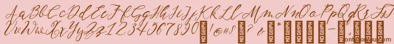 フォントNF Lukara Regular – ピンクの背景に茶色のフォント