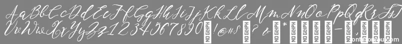 NF Lukara Regular-Schriftart – Weiße Schriften auf grauem Hintergrund