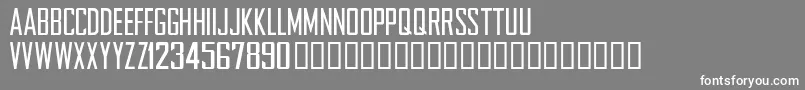 NFLCHARG Font – White Fonts on Gray Background