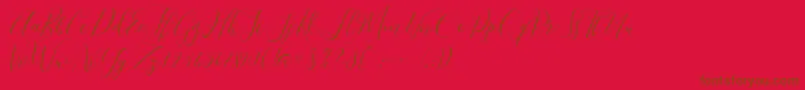 fuente Niceday – Fuentes Marrones Sobre Fondo Rojo