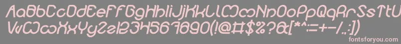 フォントNicole Bold Italic – 灰色の背景にピンクのフォント