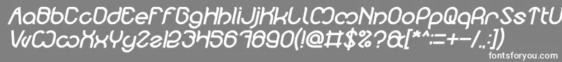 Nicole Bold Italic-fontti – valkoiset fontit harmaalla taustalla