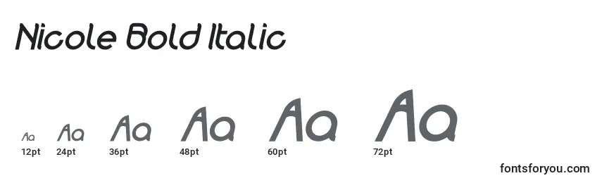 Размеры шрифта Nicole Bold Italic