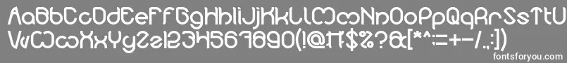 フォントNicole Bold – 灰色の背景に白い文字