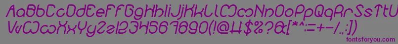 Nicole Italic-fontti – violetit fontit harmaalla taustalla