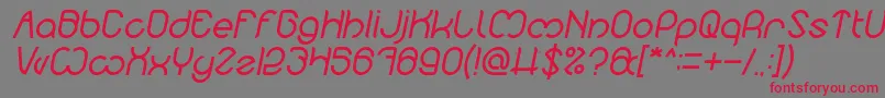 Nicole Italic Font – Red Fonts on Gray Background