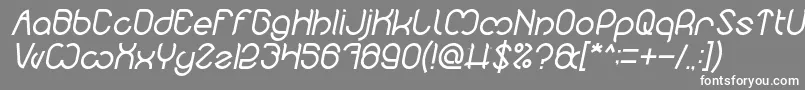 フォントNicole Italic – 灰色の背景に白い文字