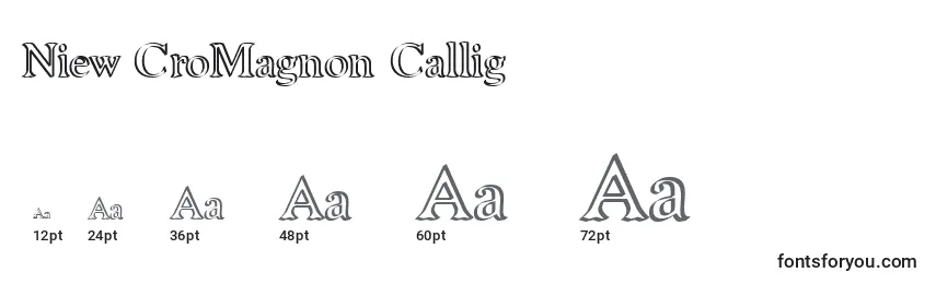 Размеры шрифта Niew CroMagnon Callig