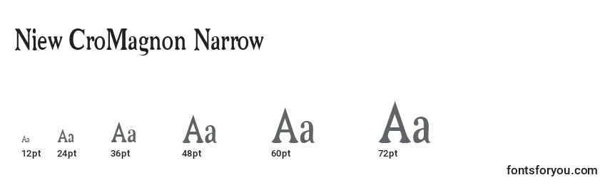 Размеры шрифта Niew CroMagnon Narrow