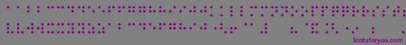 フォントNight Braille – 紫色のフォント、灰色の背景
